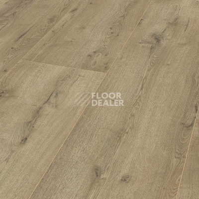 Ламинат Kronotex Mega Plus d3668 Дуб Неброский фото 1 | FLOORDEALER